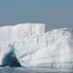 Científicos contentos por encontrar enjambre bajo hielo