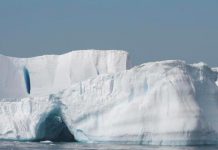 Científicos contentos por encontrar enjambre bajo hielo