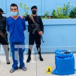 Incautación de marihuana en Madriz
