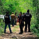 Encuentran 8 cuerpos putrefactos en Yucatán ¡Violencia en México sin límite!