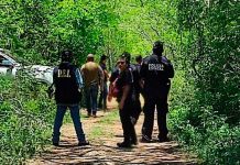 Encuentran 8 cuerpos putrefactos en Yucatán ¡Violencia en México sin límite! Encuentran 8 cuerpos putrefactos en Yucatán ¡Violencia en México sin límite!