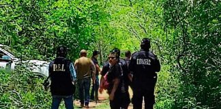 Encuentran 8 cuerpos putrefactos en Yucatán ¡Violencia en México sin límite!