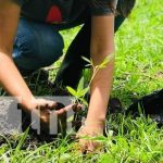 Estudiantes de INATEC aprenden técnicas para cultivos orgánicos en Muy Muy Fortalecimiento de técnicas de cultivo gracias al INATEC
