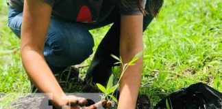 Fortalecimiento de técnicas de cultivo gracias al INATEC
