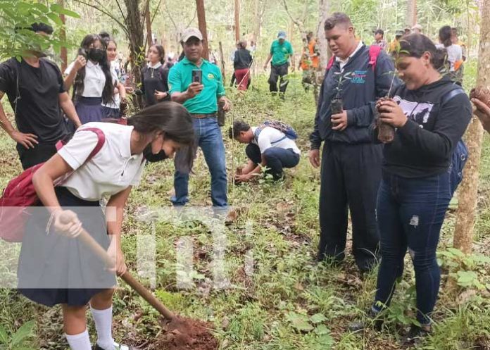 Jornada de reforestación en Río San Juan