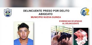 Algunos detenidos por cometer delitos en municipios del Caribe Sur