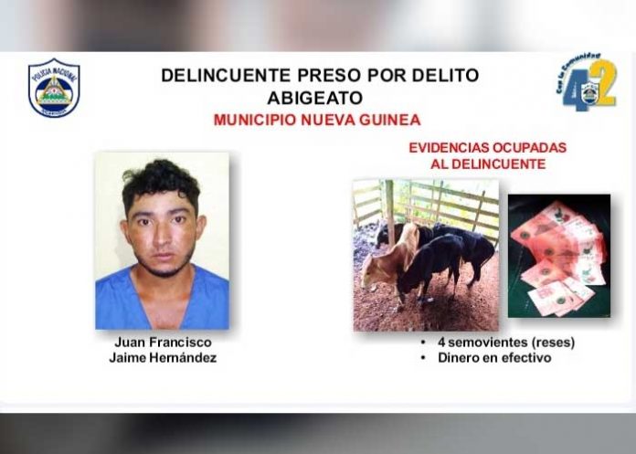 Algunos detenidos por cometer delitos en municipios del Caribe Sur