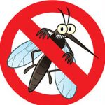 Médicos de Australia encontraron un método de destrucción de la malaria