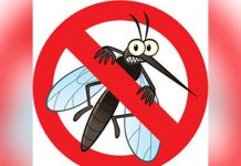 Médicos de Australia encontraron un método de destrucción de la malaria Médicos de Australia encontraron un método de destrucción de la malaria