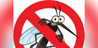 Médicos de Australia encontraron un método de destrucción de la malaria