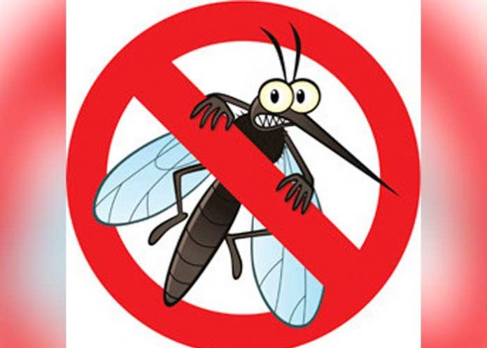 Médicos de Australia encontraron un método de destrucción de la malaria