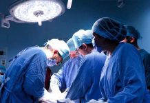 ¡Trasplante de hígado exitoso! Tras 72 horas fuera del cuerpo humano El trasplante de hígado abre nuevas posibilidades