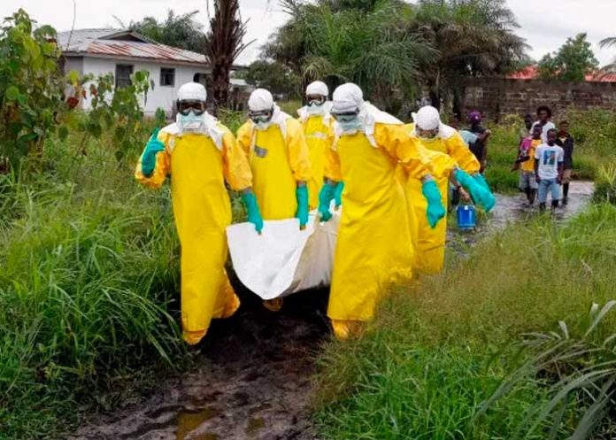 virus1 ¡Tiempos apocalípticos! Mueren 27 personas fiebre hemorrágica, según la OMS