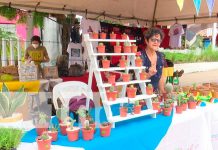 Emprendedores ofertan variedad de productos en Avenida Bolívar a Chávez, Managua Emprendedores ofertan variedad de productos en Avenida Bolívar a Chávez, Managua
