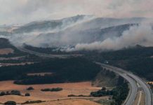 Múltiples incendios en zonas forestales de España Múltiples incendios en zonas forestales de España