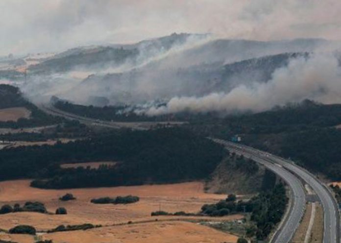 Múltiples incendios en zonas forestales de España
