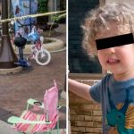 Bajo los cuerpos de sus padres niño de 2 años sobrevivió en tiroteo en Chicago