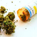 Legalización de la marihuana se expande en Latinoamérica Legalización de la marihuana se expande en Latinoamérica