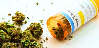 Legalización de la marihuana se expande en Latinoamérica