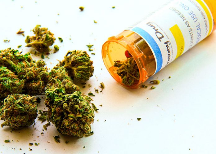 Legalización de la marihuana se expande en Latinoamérica