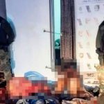 En Argentina: Sujetos vendían carne de caballo para hamburguesas En Argentina: Sujetos vendían carne de caballo para hamburguesas