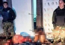 En Argentina: Sujetos vendían carne de caballo para hamburguesas