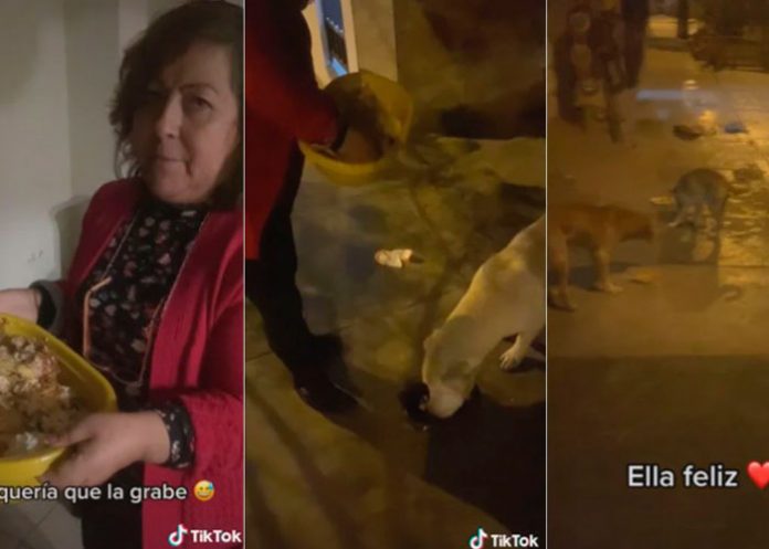 .1 Se viraliza la acción de una mujer con los perritos en situación de calle