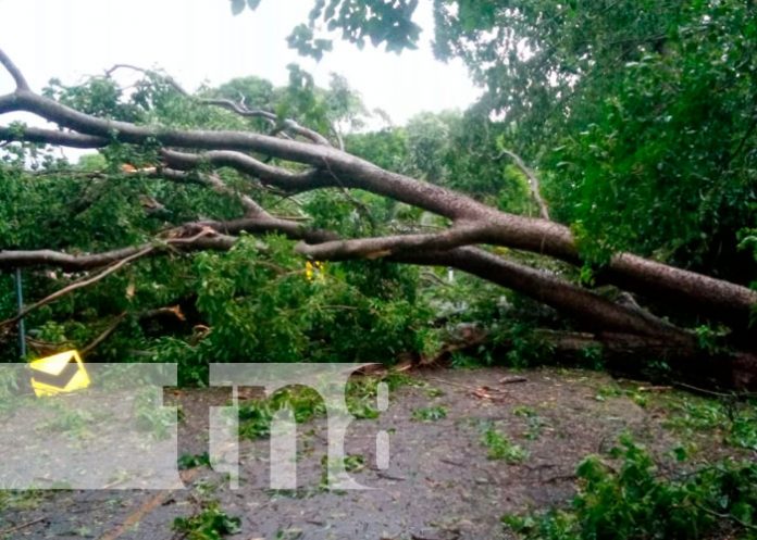 1 Bonnie provoca afectaciones en varios municipios de Rivas