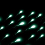 Reciente estudio revela 21 tipos de genes que provocan infertilidad Reciente estudio revela 21 tipos de genes que provocan infertilidad