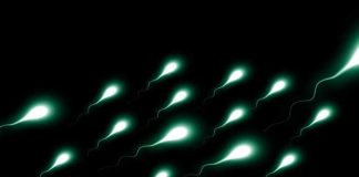 Reciente estudio revela 21 tipos de genes que provocan infertilidad