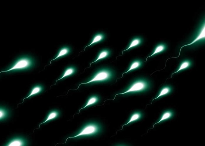 1 Reciente estudio revela 21 tipos de genes que provocan infertilidad