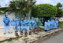 Refuerzan trabajo de eliminación de zancudos en Managua Refuerzan trabajo de eliminación de zancudos en Managua