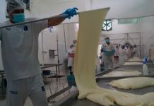 Visita a planta procesadora de lácteos en Río San Juan Visita a planta procesadora de lácteos en Río San Juan
