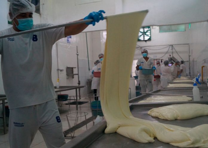 1 Visita a planta procesadora de lácteos en Río San Juan