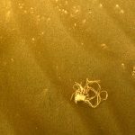 El robot de la NASA que explora Marte descubre un objeto misterioso