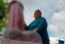 En Veracruz es el único monumento referido al pene