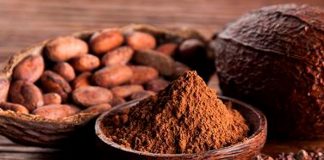 07 de julio: Día Mundial del Cacao