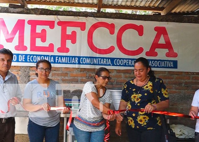 Emprendedores de procesamiento de lácteos dinamizan economía en Somoto