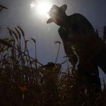 Al menos 43 muertos por las fuertes olas de calor en España Al menos 43 muertos por las fuertes olas de calor en España