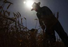 Al menos 43 muertos por las fuertes olas de calor en España Al menos 43 muertos por las fuertes olas de calor en España