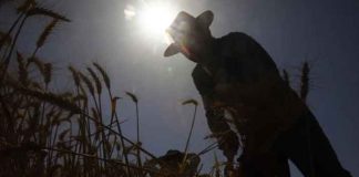 Al menos 43 muertos por las fuertes olas de calor en España