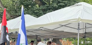 Celebran el 43/19 en Washington, Estados Unidos
