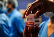 Registran 41 casos de la infección conocida como Hongo Negro en Honduras Registra 41 casos de la infección conocida como Hongo Negro en Honduras.