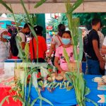 Promueven concurso «Sabores Gastronómicos de Invierno» en Somoto Promueven concurso de Sabores Gastronómicos de Invierno en Somoto