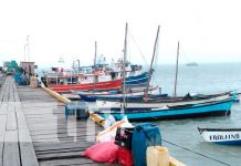 Fuerza Naval suspende zarpes a las embarcaciones menores en el Xolotlán y Cocibolca Inicia temporada de pesca de langosta Espinoza del Caribe