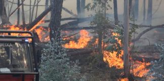 Oleada de incendios forestales dejan al menos 21 heridos en Portugal