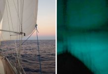 Conoce el fenómeno «mar lechoso» visto por primera vez desde un yate Conoce el fenómeno "mar lechoso" visto por primera vez desde un yate