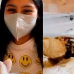 ¡Qué ordenada! Joven encuentra su desayuno olvidado desde la pandemia ¡Qué ordenada! Joven encuentra su desayuno olvidado desde el 2019