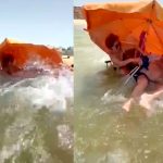 Viral en España: Una ola gigante arrastra al abuelo y lo hunde en el mar Viral en España: Una ola gigante arrastra al abuelo y lo hunde en el mar
