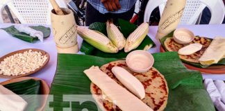 Realizan festival sabores de invierno en Granada